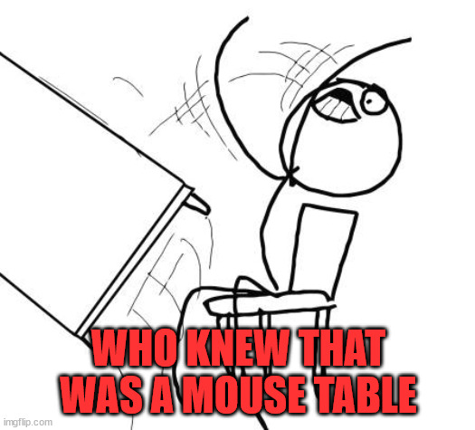 Table Flip Guy Meme | WHO KNEW THAT WAS A MOUSE TABLE | image tagged in memes,table flip guy | made w/ Imgflip meme maker
