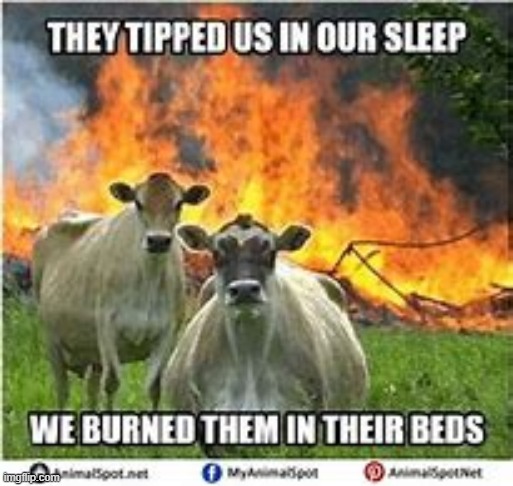 DONT MESS WITH THE COWS well more specifically dont mess with That Vegan treacher oooooo burned | made w/ Imgflip meme maker