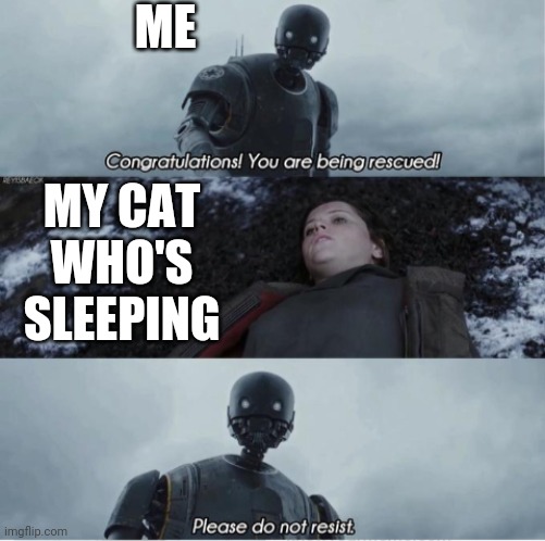 Congratulations you are being rescued please do not resist | ME; MY CAT WHO'S SLEEPING | image tagged in congratulations you are being rescued please do not resist | made w/ Imgflip meme maker