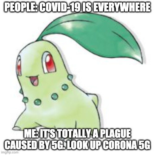 Chikorita | PEOPLE: COVID-19 IS EVERYWHERE ME: IT'S TOTALLY A PLAGUE CAUSED BY 5G. LOOK UP CORONA 5G | image tagged in chikorita | made w/ Imgflip meme maker
