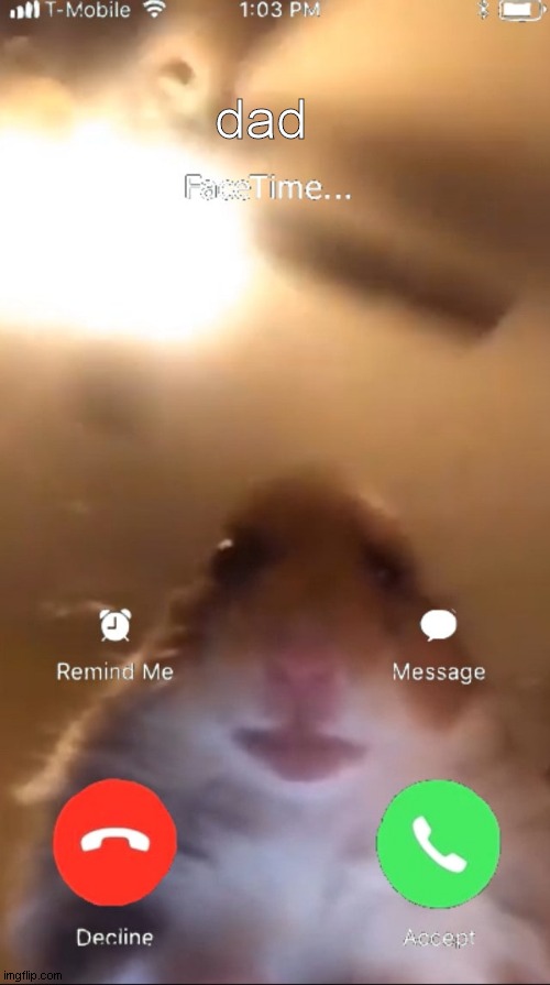 dad facetime |  dad | image tagged in hamster call,hamster,dad,funny,facetime | made w/ Imgflip meme maker