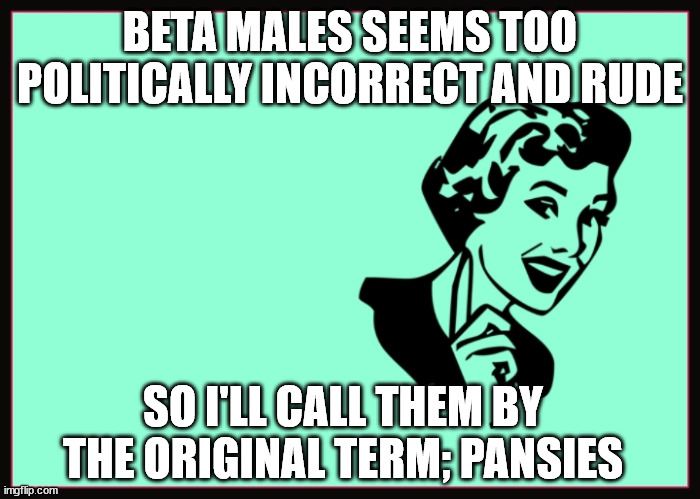 Classic Sarcasm | BETA MALES SEEMS TOO POLITICALLY INCORRECT AND RUDE; SO I'LL CALL THEM BY THE ORIGINAL TERM; PANSIES | image tagged in politics,political meme,political humor | made w/ Imgflip meme maker