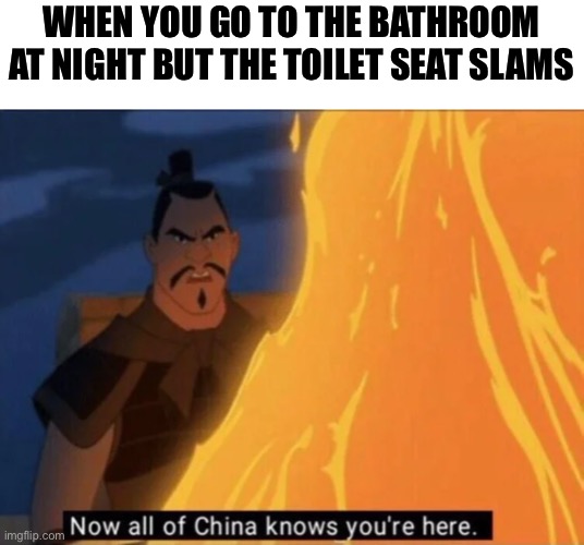 Toilet Seats, the second loudest thing in the universe | WHEN YOU GO TO THE BATHROOM AT NIGHT BUT THE TOILET SEAT SLAMS | image tagged in now all of china knows you're here,toilets | made w/ Imgflip meme maker