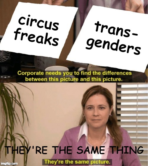 Sub-humans better off dead. | circus
freaks; trans-
genders; THEY'RE THE SAME THING | image tagged in they re the same thing | made w/ Imgflip meme maker