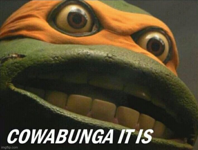 *WHEEZING* MIKEY- | image tagged in cowabunga it is | made w/ Imgflip meme maker