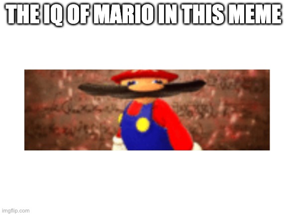 Blank White Template | THE IQ OF MARIO IN THIS MEME | image tagged in blank white template | made w/ Imgflip meme maker