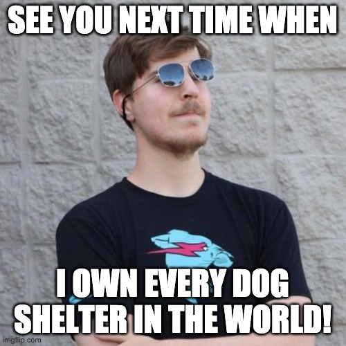 Mr. Beast | SEE YOU NEXT TIME WHEN I OWN EVERY DOG SHELTER IN THE WORLD! | image tagged in mr beast | made w/ Imgflip meme maker