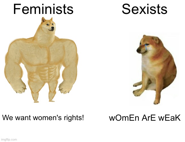 Buff Doge vs. Cheems |  Feminists; Sexists; We want women's rights! wOmEn ArE wEaK | image tagged in memes,buff doge vs cheems,sexist,misogyny | made w/ Imgflip meme maker