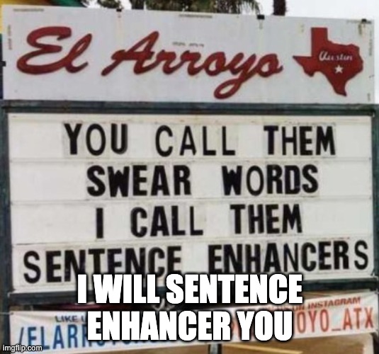 You call them swear words | I WILL SENTENCE ENHANCER YOU | image tagged in you call them swear words | made w/ Imgflip meme maker