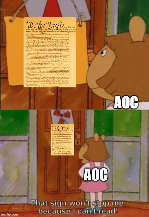 DW Sign Won't Stop Me Because I Can't Read | AOC; AOC | image tagged in dw sign won't stop me because i can't read,aoc,the constitution | made w/ Imgflip meme maker
