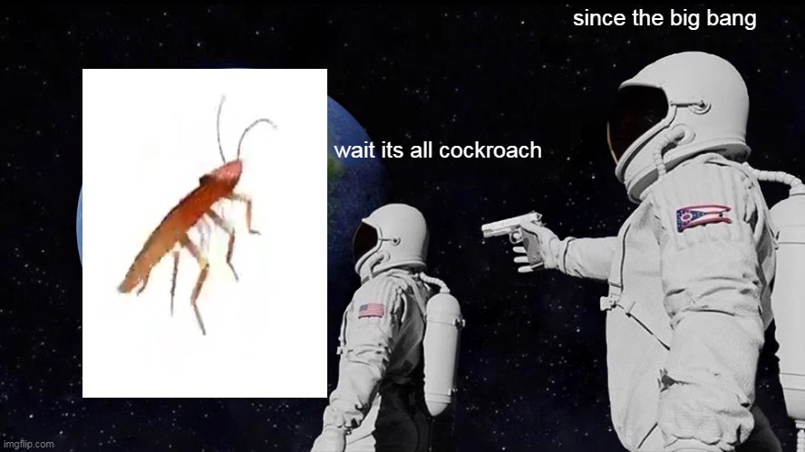 Always Has Been Meme | since the big bang; wait its all cockroach | image tagged in memes,cockroach,get out of my kitchen | made w/ Imgflip meme maker