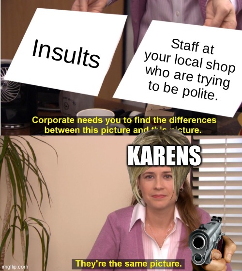 Karens | Insults; Staff at your local shop who are trying to be polite. KARENS | image tagged in memes,they're the same picture | made w/ Imgflip meme maker