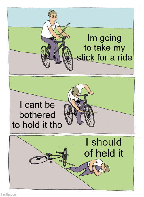 lol | Im going to take my stick for a ride; I cant be bothered to hold it tho; I should of held it | image tagged in memes,bike fall | made w/ Imgflip meme maker