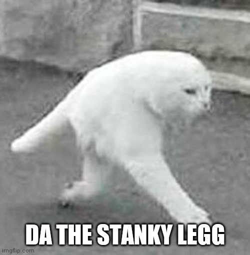 a weird cat with two legs was | DA THE STANKY LEGG | image tagged in a weird cat with two legs was | made w/ Imgflip meme maker