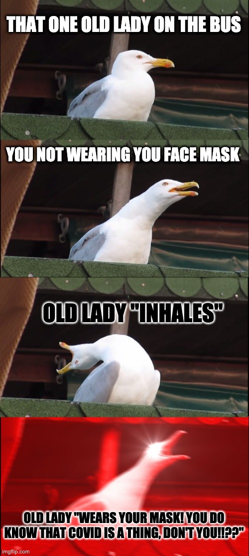 Inhaling Seagull | THAT ONE OLD LADY ON THE BUS; YOU NOT WEARING YOU FACE MASK; OLD LADY "INHALES"; OLD LADY "WEARS YOUR MASK! YOU DO KNOW THAT COVID IS A THING, DON'T YOU!!??" | image tagged in memes,inhaling seagull | made w/ Imgflip meme maker