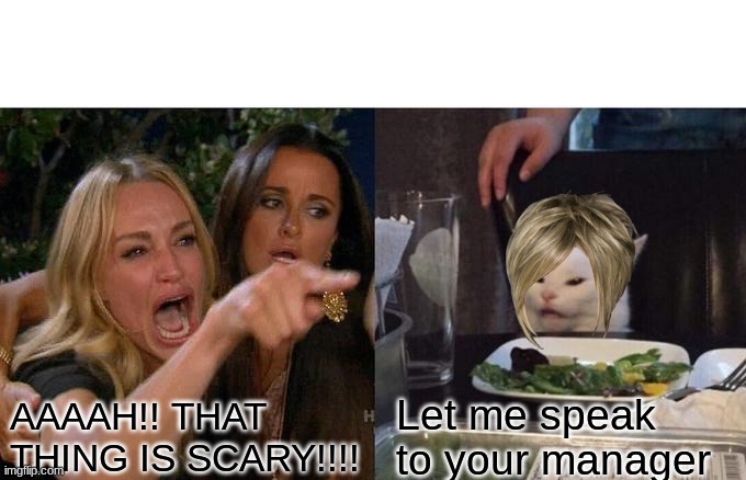 K A R E N | AAAAH!! THAT THING IS SCARY!!!! Let me speak to your manager | image tagged in memes,woman yelling at cat | made w/ Imgflip meme maker