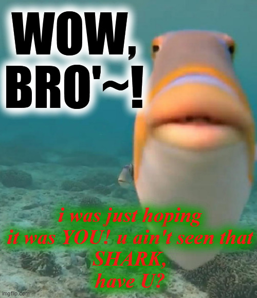 WOW, 
BRO'~! i was just hoping
it was YOU! u ain't seen that
SHARK,
have U? | made w/ Imgflip meme maker