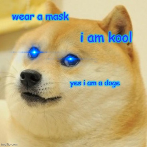 Doge | wear a mask; i am kool; yes i am a doge | image tagged in memes,doge | made w/ Imgflip meme maker