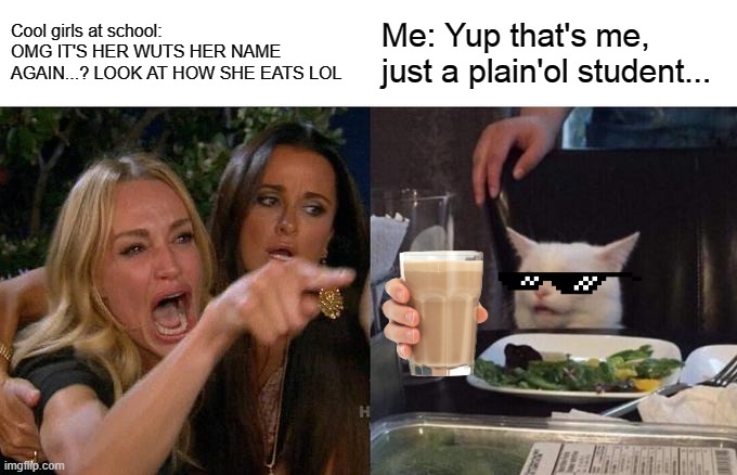 Woman Yelling At Cat | Cool girls at school: OMG IT'S HER WUTS HER NAME AGAIN...? LOOK AT HOW SHE EATS LOL; Me: Yup that's me, just a plain'ol student... | image tagged in memes,woman yelling at cat | made w/ Imgflip meme maker