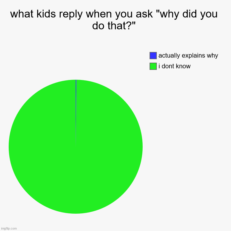 what kids reply when you ask "why did you do that?" | i dont know, actually explains why | image tagged in charts,pie charts | made w/ Imgflip chart maker