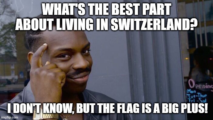 Roll Safe Think About It | WHAT'S THE BEST PART ABOUT LIVING IN SWITZERLAND? I DON'T KNOW, BUT THE FLAG IS A BIG PLUS! | image tagged in memes,roll safe think about it | made w/ Imgflip meme maker