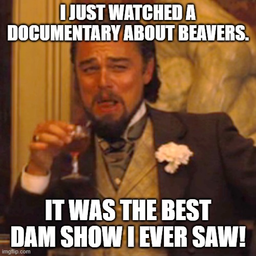 Laughing Leo | I JUST WATCHED A DOCUMENTARY ABOUT BEAVERS. IT WAS THE BEST DAM SHOW I EVER SAW! | image tagged in memes,laughing leo | made w/ Imgflip meme maker