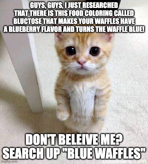 Y e s | GUYS, GUYS, I JUST RESEARCHED THAT THERE IS THIS FOOD COLORING CALLED BLUCTOSE THAT MAKES YOUR WAFFLES HAVE A BLUEBERRY FLAVOR AND TURNS THE WAFFLE BLUE! DON'T BELEIVE ME? SEARCH UP "BLUE WAFFLES" | image tagged in memes,cute cat | made w/ Imgflip meme maker
