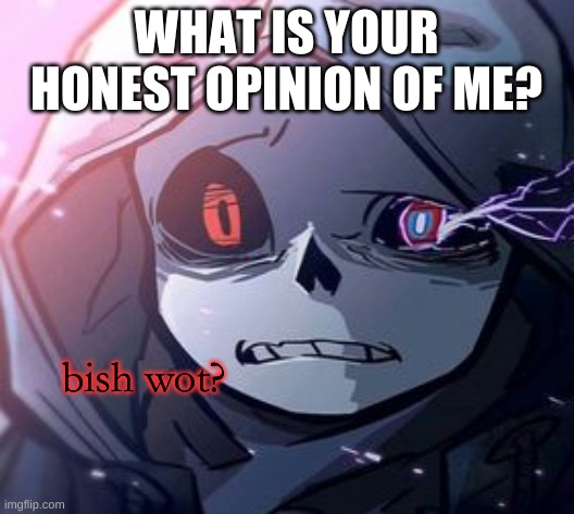 e | WHAT IS YOUR HONEST OPINION OF ME? | image tagged in dust sans bish wot | made w/ Imgflip meme maker