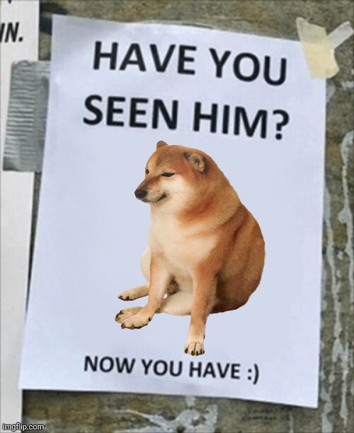 Have you seen Cheems? | image tagged in have you seen him now you have | made w/ Imgflip meme maker