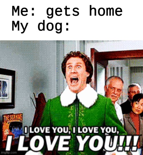 Dog lovers get this |  Me: gets home 
My dog: | image tagged in dogs,buddy the elf excited | made w/ Imgflip meme maker