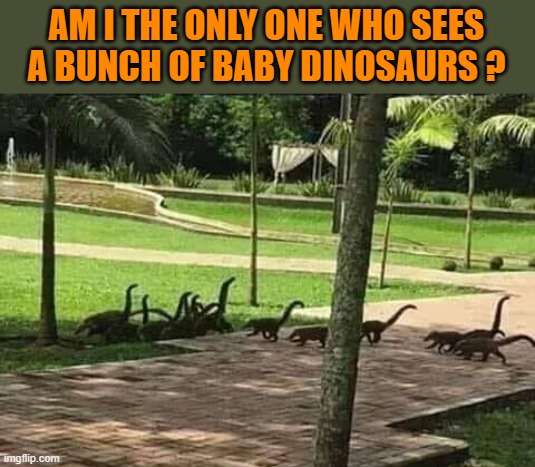 AM I THE ONLY ONE WHO SEES A BUNCH OF BABY DINOSAURS ? | made w/ Imgflip meme maker