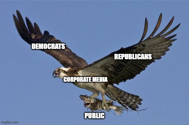 Two Wings Of The Same Bird | REPUBLICANS; DEMOCRATS; CORPORATE MEDIA; PUBLIC | image tagged in politics | made w/ Imgflip meme maker