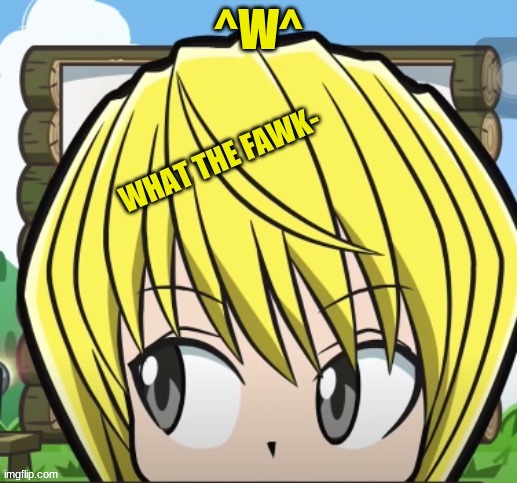 Kurapika what the fawk- | ^W^ | image tagged in kurapika what the fawk- | made w/ Imgflip meme maker