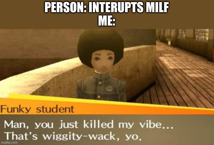 You just killed my vibe | PERSON: INTERUPTS MILF
ME: | image tagged in you just killed my vibe | made w/ Imgflip meme maker