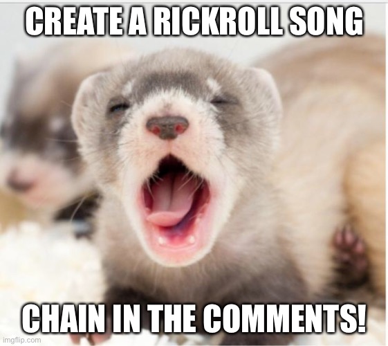 Not a rickroll song chain |  CREATE A RICKROLL SONG; CHAIN IN THE COMMENTS! | image tagged in ferret sleepy,rick astley,rickroll,rickrolling,legendary | made w/ Imgflip meme maker