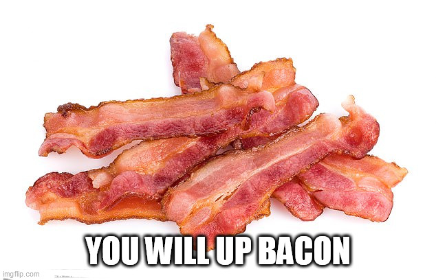 Bacon | YOU WILL UP BACON | image tagged in bacon | made w/ Imgflip meme maker