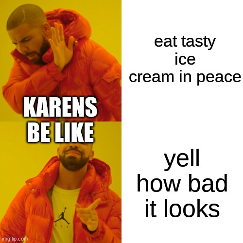 Drake Hotline Bling Meme | eat tasty ice cream in peace yell how bad it looks KARENS BE LIKE | image tagged in memes,drake hotline bling | made w/ Imgflip meme maker