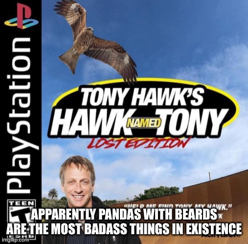 Just play world of warcraft and you will get it | APPARENTLY PANDAS WITH BEARDS ARE THE MOST BADASS THINGS IN EXISTENCE | made w/ Imgflip meme maker