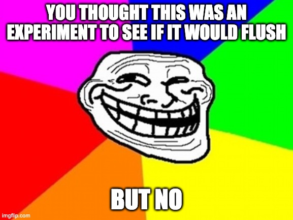 Troll Face Colored Meme | YOU THOUGHT THIS WAS AN EXPERIMENT TO SEE IF IT WOULD FLUSH BUT NO | image tagged in memes,troll face colored | made w/ Imgflip meme maker