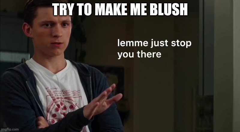 Lemme just stop you there | TRY TO MAKE ME BLUSH | image tagged in lemme just stop you there | made w/ Imgflip meme maker