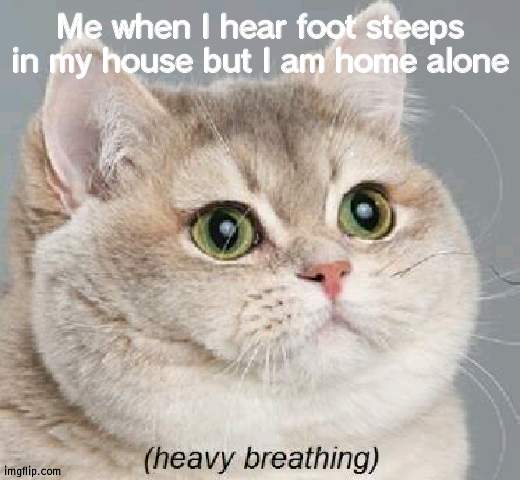 Very scary home alone moments, hope I make it out alive | Me when I hear foot steeps in my house but I am home alone | image tagged in memes,heavy breathing cat,home alone,scary,hope | made w/ Imgflip meme maker