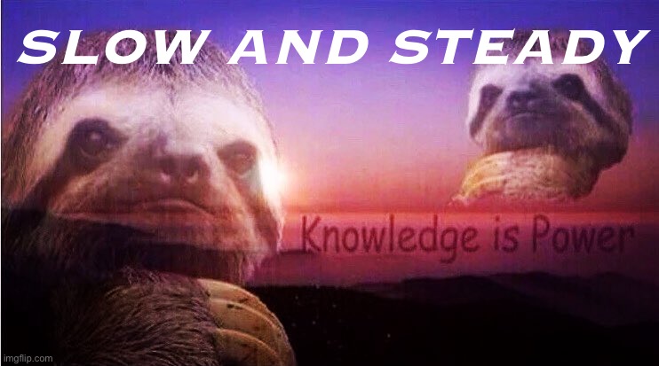 Wins the race | SLOW AND STEADY | image tagged in sloth knowledge is power | made w/ Imgflip meme maker