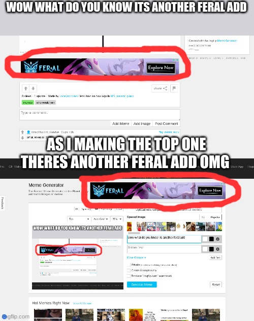 they can't get enough | WOW WHAT DO YOU KNOW ITS ANOTHER FERAL ADD; AS I MAKING THE TOP ONE THERES ANOTHER FERAL ADD OMG | image tagged in funny,msmg | made w/ Imgflip meme maker