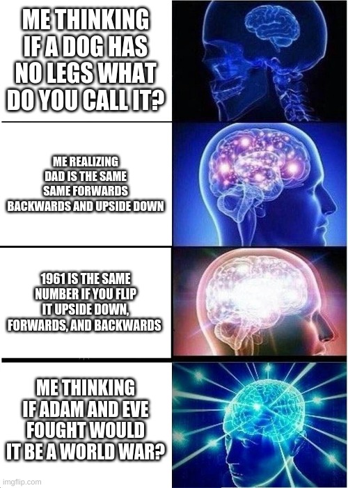 Expanding Brain | ME THINKING IF A DOG HAS NO LEGS WHAT DO YOU CALL IT? ME REALIZING DAD IS THE SAME SAME FORWARDS BACKWARDS AND UPSIDE DOWN; 1961 IS THE SAME NUMBER IF YOU FLIP IT UPSIDE DOWN, FORWARDS, AND BACKWARDS; ME THINKING IF ADAM AND EVE FOUGHT WOULD IT BE A WORLD WAR? | image tagged in memes,expanding brain | made w/ Imgflip meme maker
