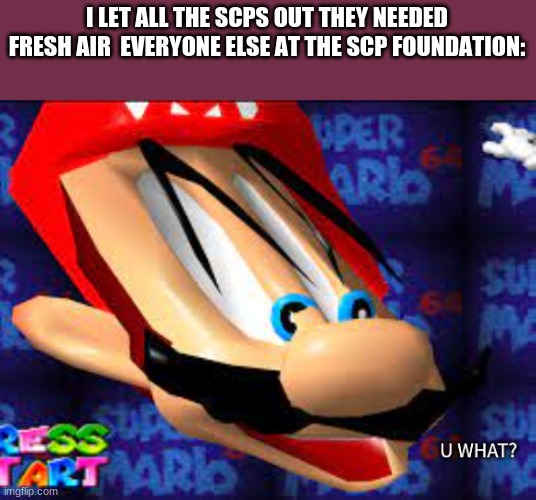 15 pictures tooken right before disaster | I LET ALL THE SCPS OUT THEY NEEDED FRESH AIR  EVERYONE ELSE AT THE SCP FOUNDATION: | image tagged in mario face u what,funny,meme,msmg,scp | made w/ Imgflip meme maker