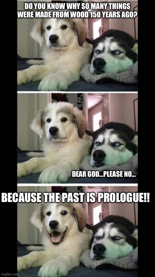 Two dogs bad joke | DO YOU KNOW WHY SO MANY THINGS WERE MADE FROM WOOD 150 YEARS AGO? DEAR GOD...PLEASE NO... BECAUSE THE PAST IS PROLOGUE!! | image tagged in two dogs bad joke | made w/ Imgflip meme maker