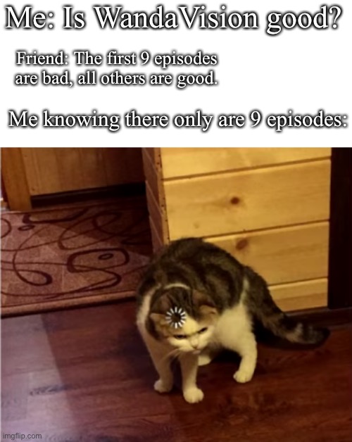 l o l | Me: Is WandaVision good? Friend: The first 9 episodes are bad, all others are good. Me knowing there only are 9 episodes: | image tagged in loading cat hd,idk | made w/ Imgflip meme maker