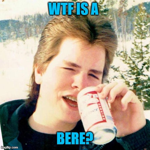 Eighties Teen Meme | WTF IS A BERE? | image tagged in memes,eighties teen | made w/ Imgflip meme maker