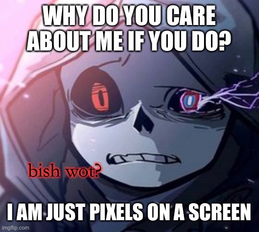 -_- | WHY DO YOU CARE ABOUT ME IF YOU DO? I AM JUST PIXELS ON A SCREEN | image tagged in dust sans bish wot | made w/ Imgflip meme maker