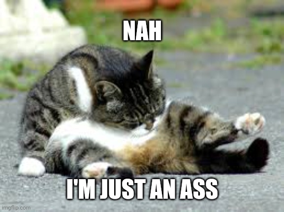 Cat licking butt | NAH I'M JUST AN ASS | image tagged in cat licking butt | made w/ Imgflip meme maker